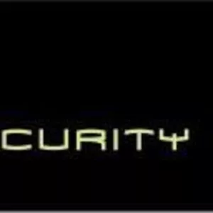 DVSecurity