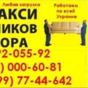 Грузоперевозки 1-20т. Киев. Перевозка бетономешалок,  туры,  вышки.