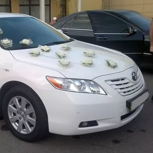 Аренда на свадьбу Tayota Camry белая 150 грн