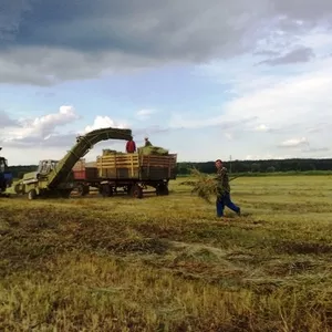 сено тюкованное луговое