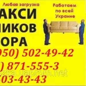 Вантажнi перевезення Бус,  газель,  Зiл,  Камаз,  Ман у Тернополi