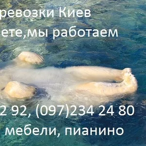 Перевозка мебели Киев-353 52 92!Перевозка мебели,  грузчики