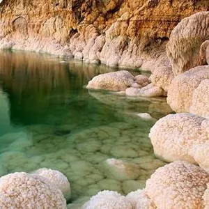 Ein Gedi,  Натуральная косметика,  крем,  гель для душа,  лосьон,  шампунь, 