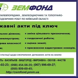 Землевпорядні послуги по Київській області - ТОВ Земфонд