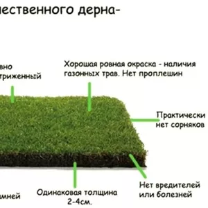 Купить газон ,  Рулонный газон c доставкой / 30 грн. Доставка по всей У