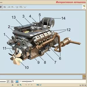 Интерактивная автошкола.Профессиональная