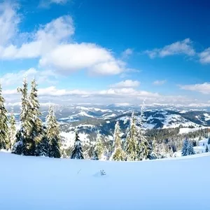 туры буковель на новый год,  туры карпаты новый год,  буковель отдых 