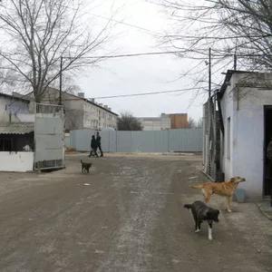 Аренда – склад-производство-офисы ,  г.Николаев,  Кульбакино