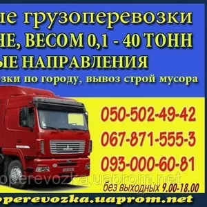 Грузоперевозки Ужгород-Киев-Ужгород. 