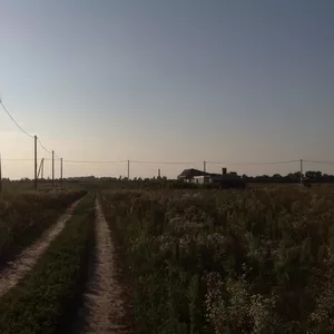 земельный участок в с. Рожовка Броварского района  под застройку