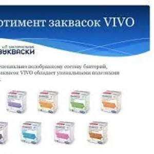 Бактериальные закваски Vivo,  Lacte,  Goodfood