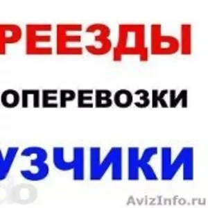 Услуги грузчиков, грузоперевозки, подбор машин.