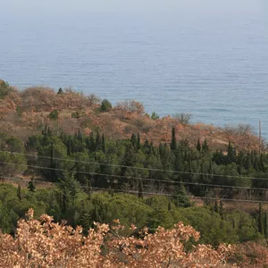 г.Алушта,  Александрийская дача. 