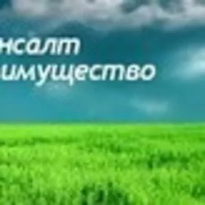 Юридическая компания «Укрземконсалт»: приватизация земельного участка.