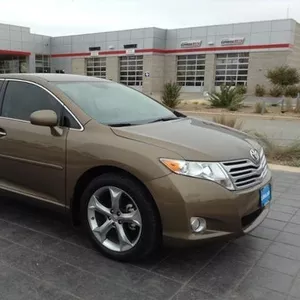 Beautiful  Venza(2011 Model)