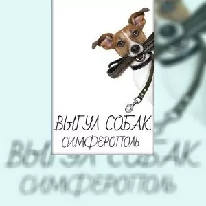 Выгул собак