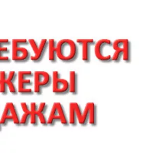 Требуется маркетолог,  менеджер по продажам