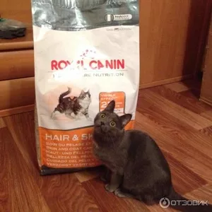 Оригинальные корма для животных фирмы Royal Canin