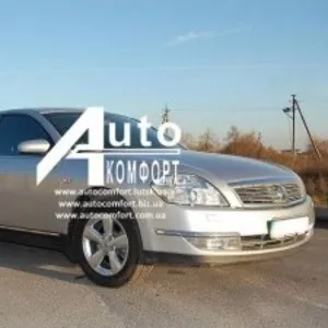 Лобовое стекло на Nissan Teana J31 (Седан) (2003-2008),  Samsung SM5/SM