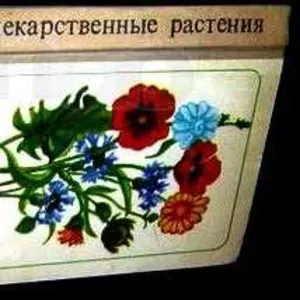 Флоря В. Лекарственные растения. Кишинев Картя Молдовянеску 1976г. 