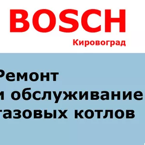 Ремонт  котлов BOSCH в Кировограде