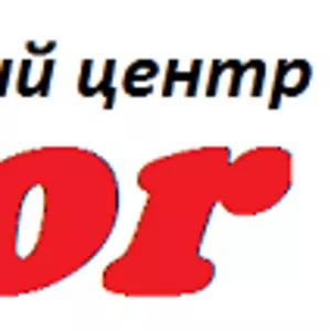 Курсы бухгалтеров для руководителей в учебном центре «Vektor»