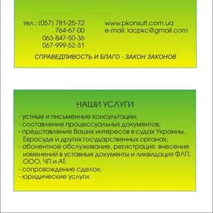 Подача жалоб в Европейский суд по правам человека,  юридические консуль