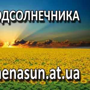 Семена подсолнечника, кукурузы Syngenta Monsanto Pioneer LG 