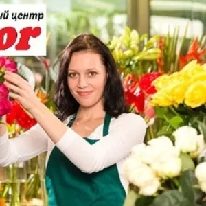 Курсы Флористики