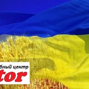 Украинский язык.Курсы в Херсоне 