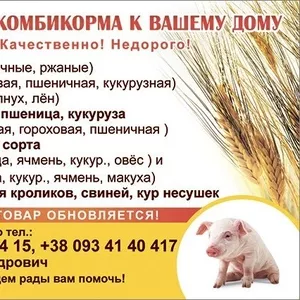 Доставка комбикорма для сх животных