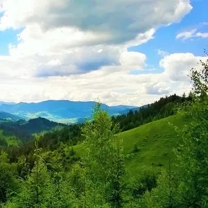 Коммерческий участок Сказка в Карпатах