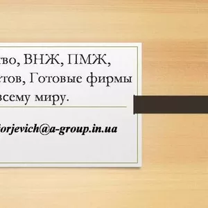 Оказываем помощь в получении ПМЖ по всему миру