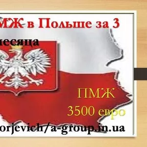 Помощь в получении пмж и внж в Польше  