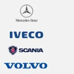 Запчасти,  агрегаты к грузовым авто Mercedes,  Iveco,  Volvo,  Scania