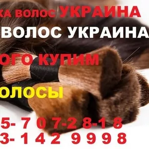 Продать Куплю Волосы Полтава Дорого