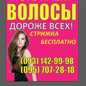 Продать Куплю волосы Винница Дорого