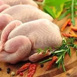 Halal Chiken (Халяль куры)