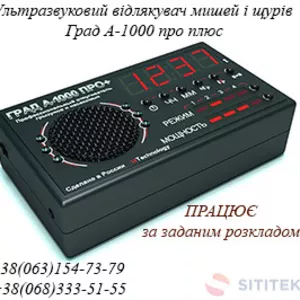 Ультразвуковий відлякувач мишей і щурів Град А-1000 про плюс