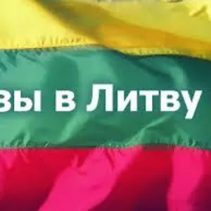 ШВЕЯ В ЛИТВУ