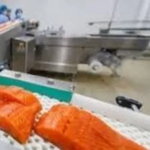 Пакувальник рибної продукції