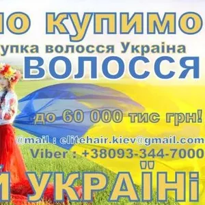 Вигідно купуємо волосся у Львові