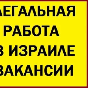 Легальная работа в Израиле вакансии. Без предоплаты за услуги. 