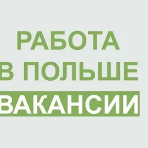 Работа,  трудоустройство в Польше.