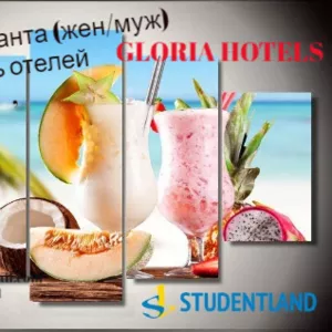 Работа в GLORIA HOTELS & Resort,  Турция