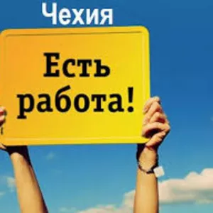 Работа Чехия  Автомобильный завод.