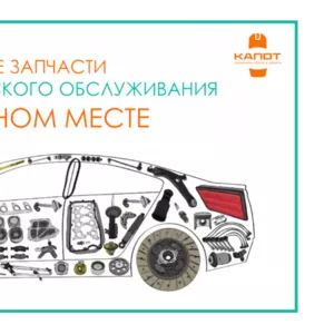 Автозапчастини Житомир