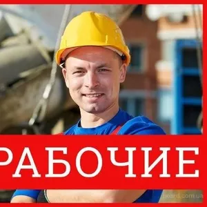 Требуются: подсобники,  рабочие.