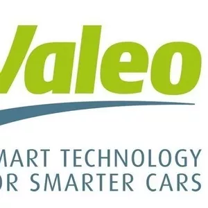 Работники на автозавод Valeo (Польша)