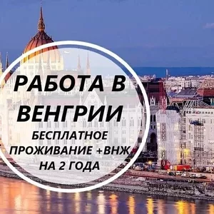 Срочный набор! Везем бесплатно c Украины по био! Работа в Венгрии! 700